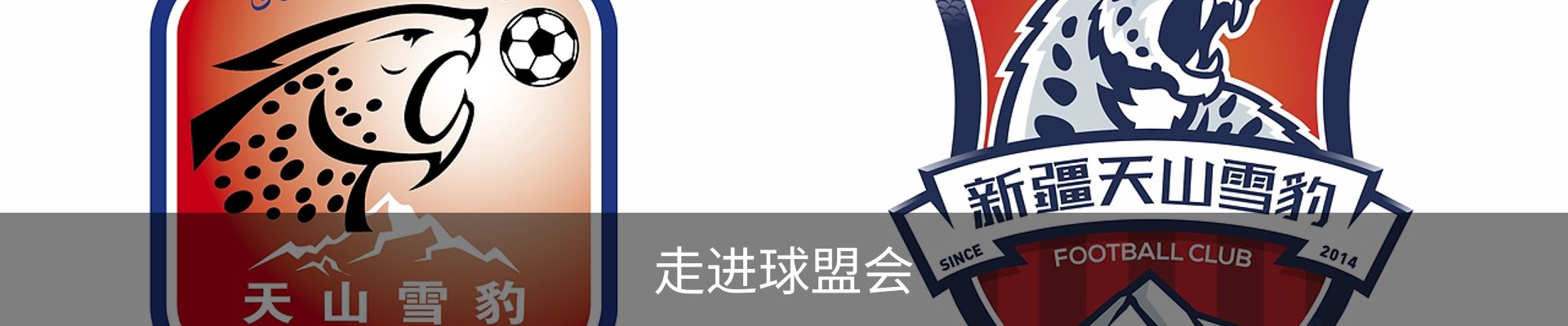 走进球盟会